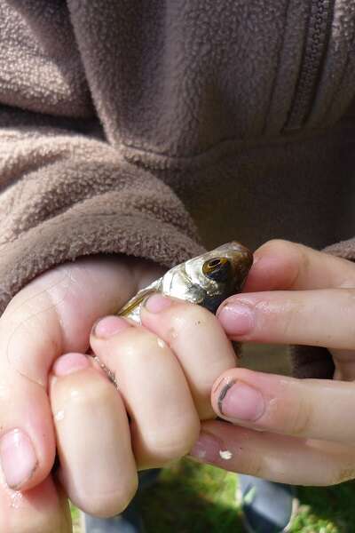 Je pêche mon 1er poisson