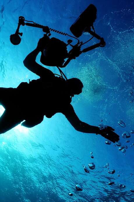 Conférence de biologie marine