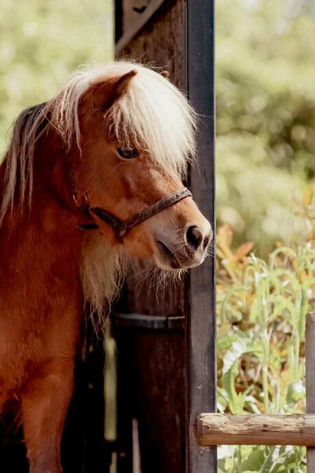 Inauguration Ferme Equestre