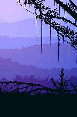 Randonnée nocturne de Noël