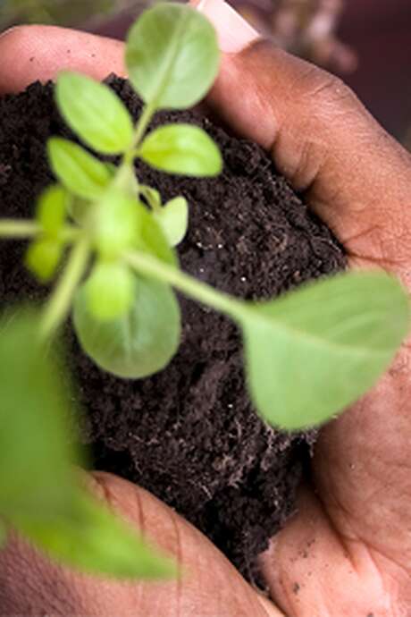 Le Blavet au naturel : Grainofête