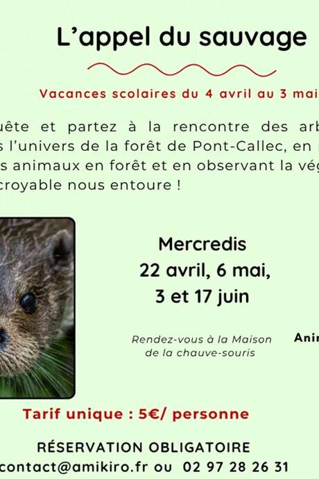 Sortie nature "L'appel du sauvage"
