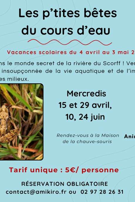 Sortie nature « Les p'tites bêtes du cours d'eau »