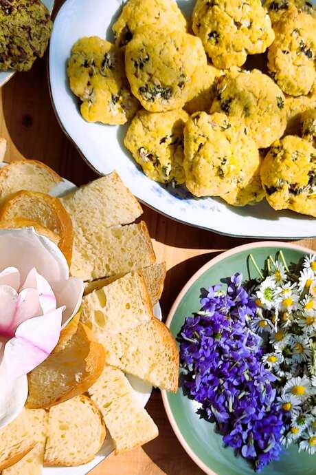 Les petites échappées : Le pouvoir des plantes Les petites échappées : Le pouvoir des plantes