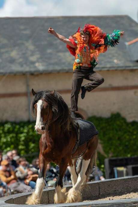 Spectacle équestre « Métamorphoses »
