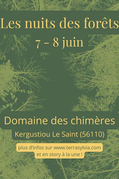 Les nuits des forêts