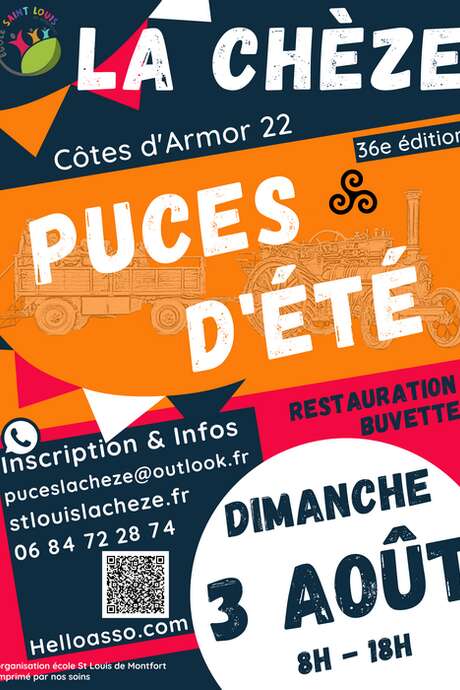 Puces d'été