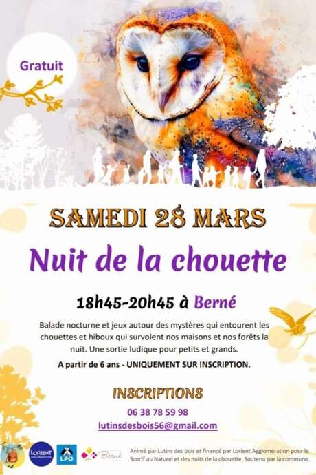 Nuit de la chouette