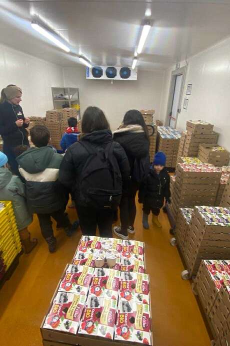 Visite guidée de la ferme laitière et la yaourterie - Spéciale enfant Visite guidée de la ferme laitière et la yaourterie - Spéciale enfant