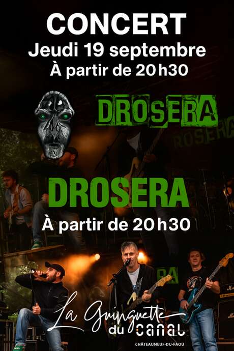 Concert Drosera