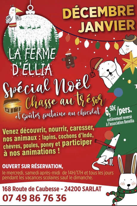 Animations de Noel à la Ferme d'Ellia