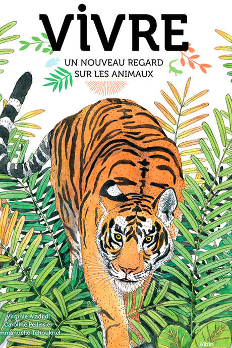 Rencontre d'auteur - Les animaux, super-héros