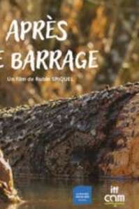 Projection débat - Après le barrage