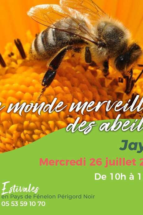 LES ESTIVALES : Le monde merveilleux des abeilles - Jayac