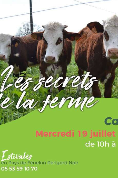 LES ESTIVALES : Les secrets de la ferme