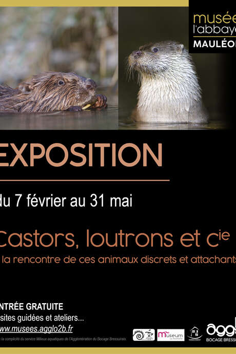 Musée L'Abbaye - Exposition - Castors, loutrons et cie