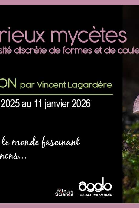 Conférence sur les champignons