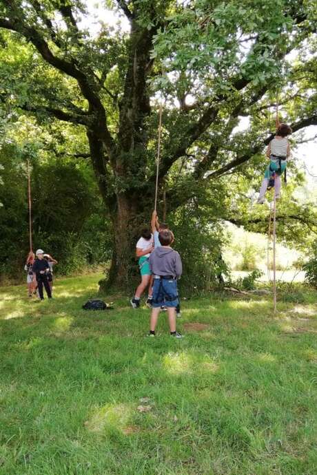 Les Estivales de Scie - Grimpe d'arbres