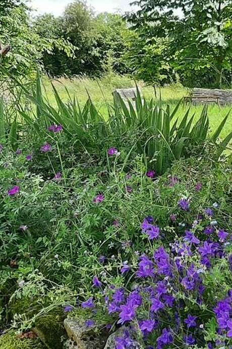 Rendez-vous aux Jardins - Jardin vivrier et paysager de La Bennerie