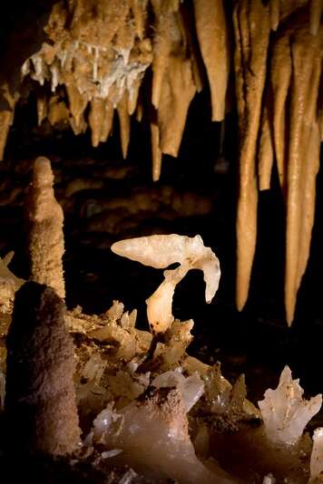 Journées du patrimoine - Grotte du Grand Roc