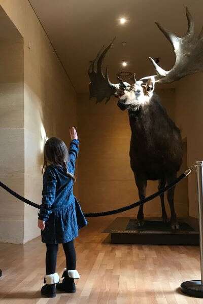 Les vacances d'automne au Musée national de Préhistoire