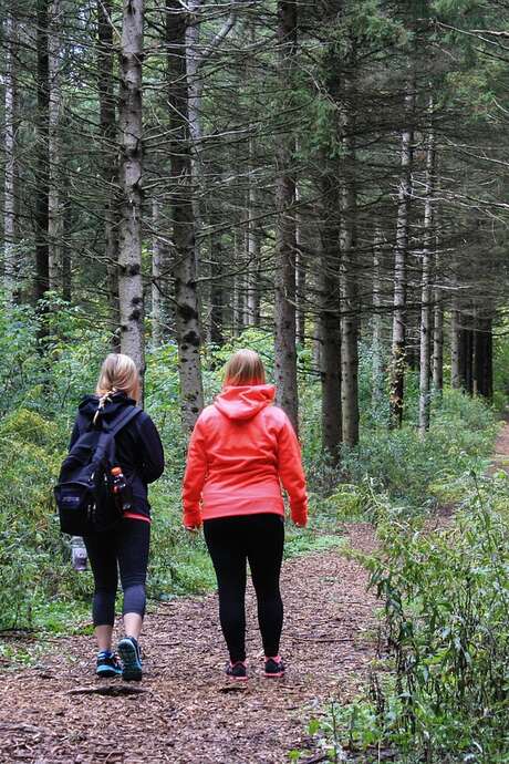 Randonnée - Les chemins creux cerizéens