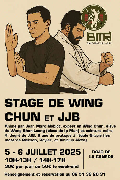 Stage de Wing Chun & JJB