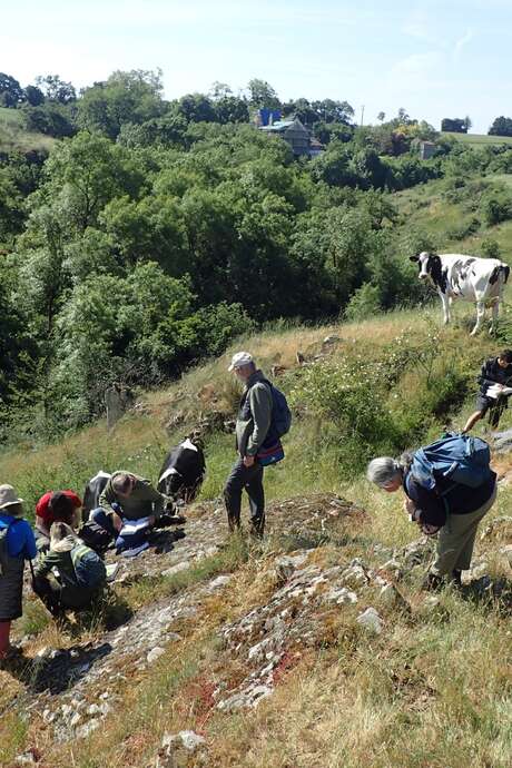 Sortie botanique - Argenton-les-Vallées, le Clos Saint Georges