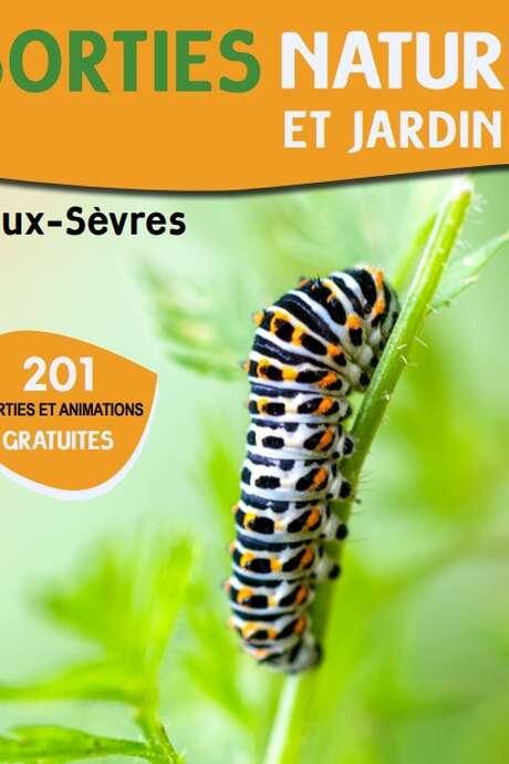 Sortie nature - Initiation à la greffe des arbres fruitiers