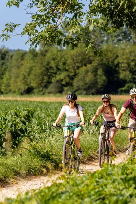 Printemps de la biodiversité - Balade printanière à vélo