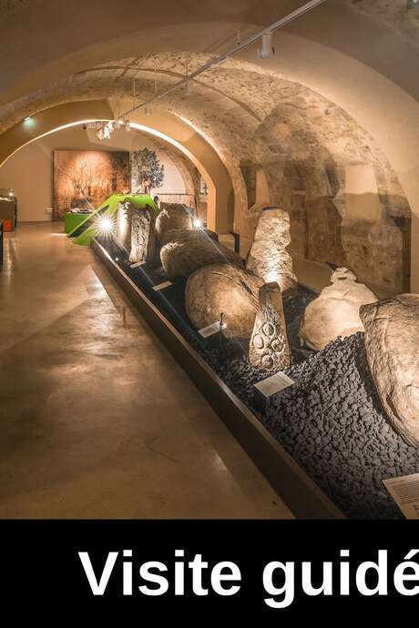 Visite guidée du Musée L'Abbaye