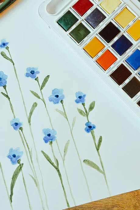 Exposition de portraits de plantes