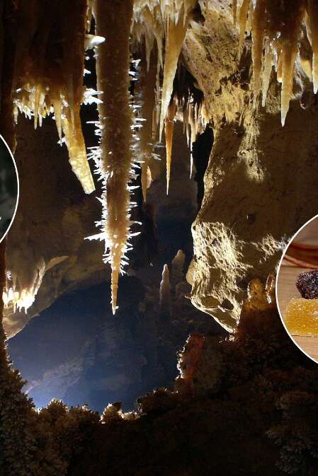 Février Gourmand à la grotte de Maxange