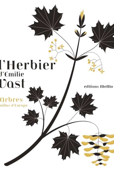 Exposition - Les herbeirs d'Emilie Vast