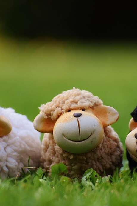 Fête de la transhumance à Florimont Gaumier