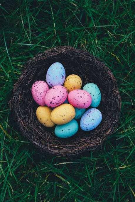 Chasse aux oeufs à La Fermette du Pérougord