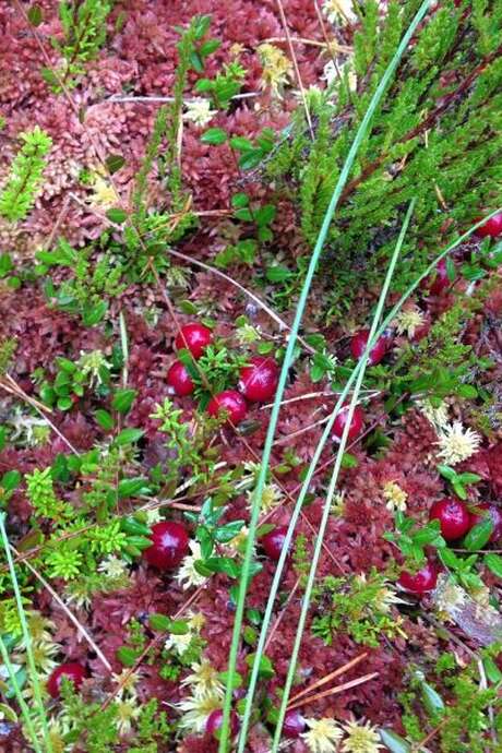Printemps de la biodiversité - Chasse aux trésors dans la vallée des Beunes