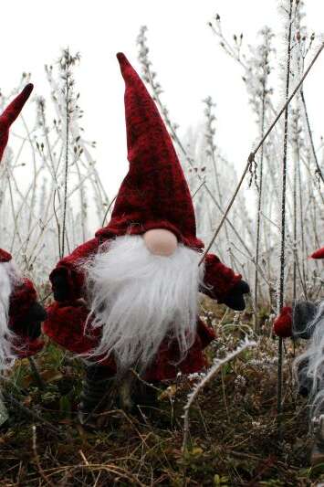 Noël à l'Aquarium du Périgord Noir