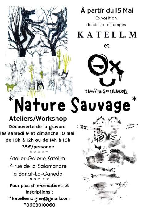 « Nature Sauvage » : Exposition d'estampes d'art