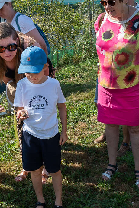 Visite d'un élevage d'escargots