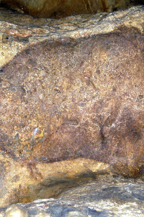 Journées du patrimoine - Grotte de Font-de-gaume