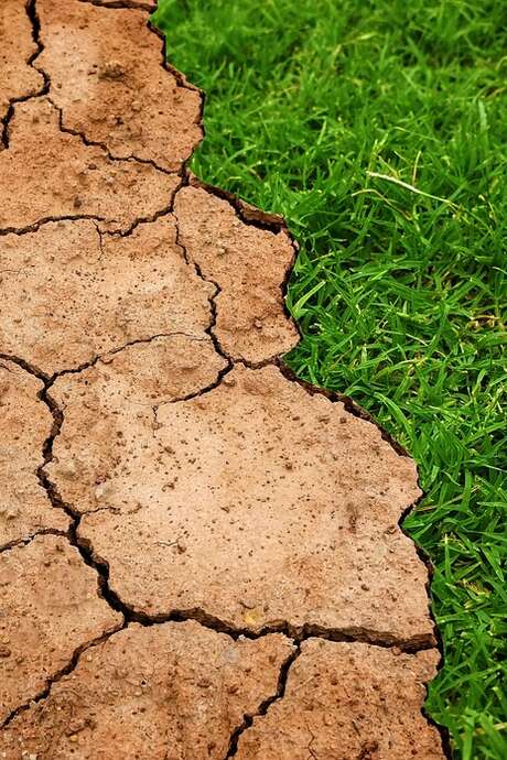 Conférence "Biodiversité et climat : se préparer à vivre dans un monde différent"