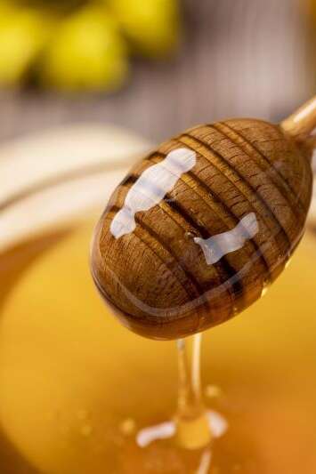 Confrérie du Miel et des Abeilles en Périgord Confrérie du Miel et des Abeilles en Périgord