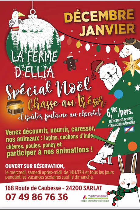 Animations de Noel à la Ferme d'Ellia