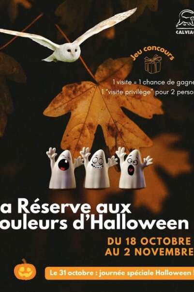 Halloween à la réserve zoologique de Calviac
