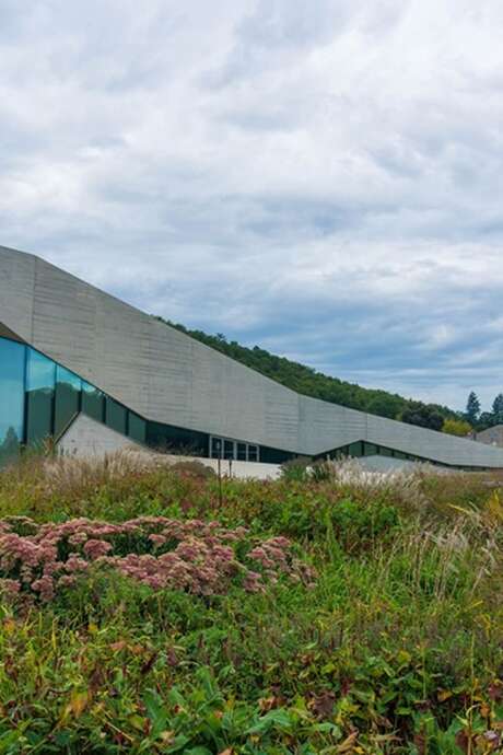 Rencontre-dédicace avec Sophie Marvaud