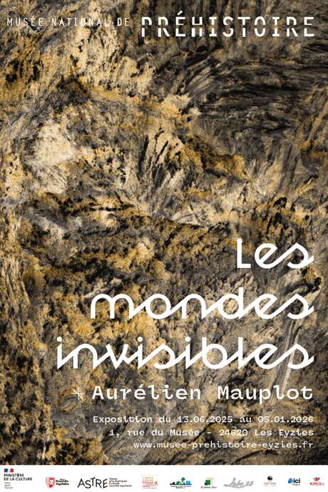 Exposition - Les mondes invisibles de Aurélien Mauplot