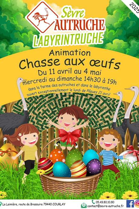 Chasse aux oeufs à la ferme et dans le labyrintruche