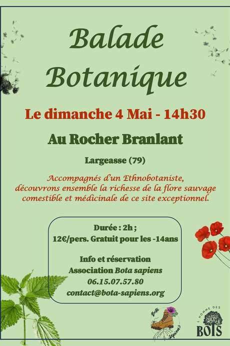 Balade botanique au Rocher Branlant