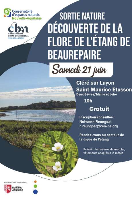La flore de l'étang de Beaurepaire